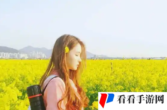 夜间直播：资源共享的美好时刻