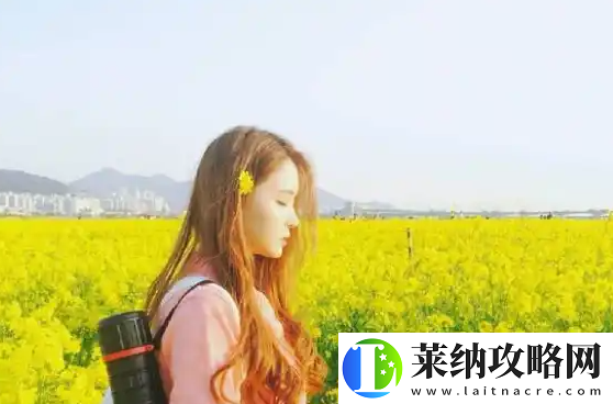 美国人与动物胶配方有几种