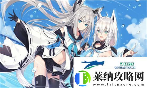 体验不同之美！900V6美洲版和亚洲版的区别解析