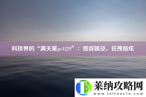 科技界的“满天星gw1229”