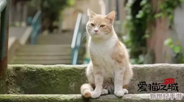 糖心柚子猫甘雨致命的错误