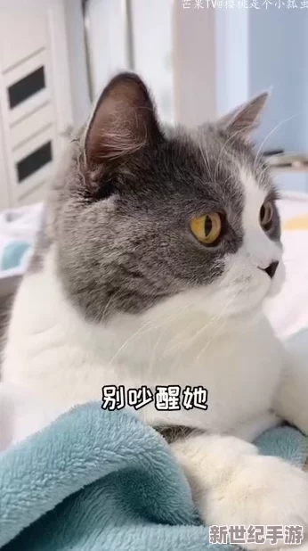 糖心柚子猫甘雨致命的错误