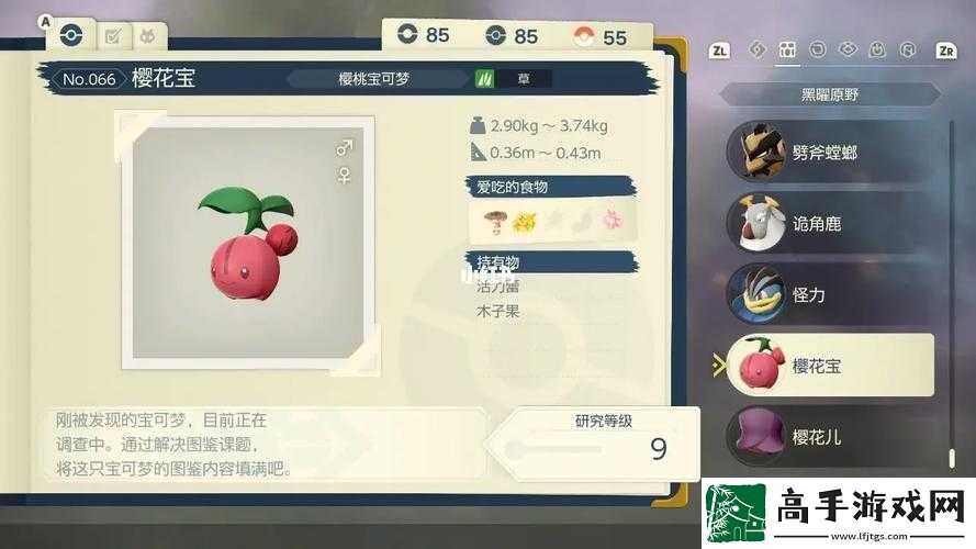 宝可梦剑盾樱花宝捕获地点指南
