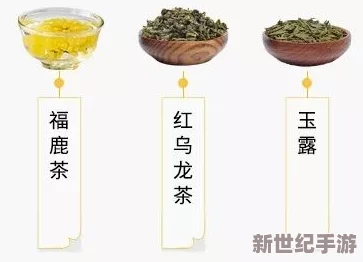 探索白荆回廊