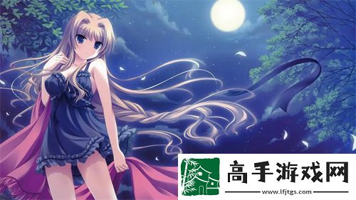 公主成年礼共大臣使用的庄重仪式与背后丰富的文化传承