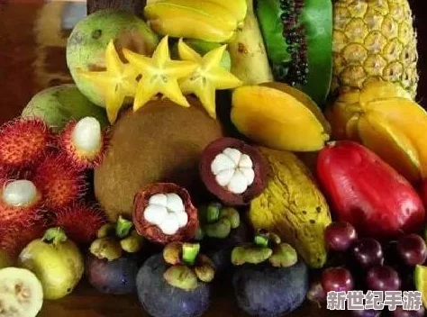 fruit回家永不迷路