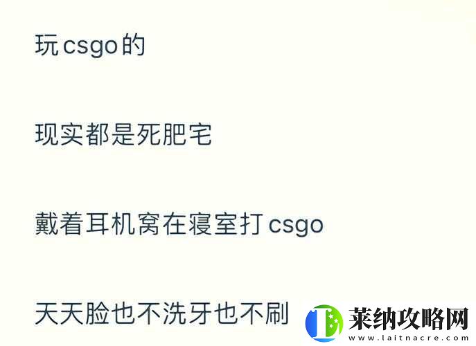学习暴躁老阿姨