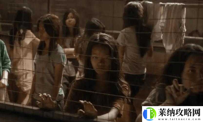 能看缅北的软件