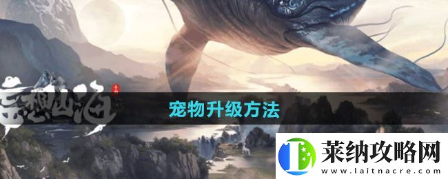 旷世！妄想山海宠物怎么升级