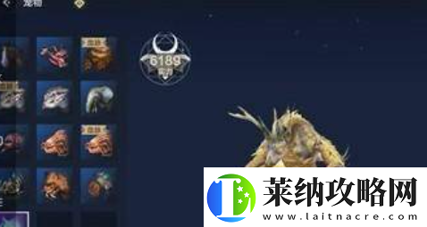 旷世！妄想山海宠物怎么升级