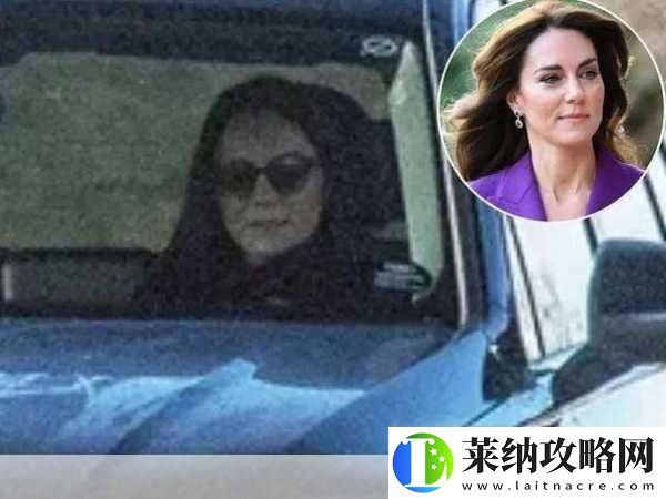 WWW免费视频在线观看播放