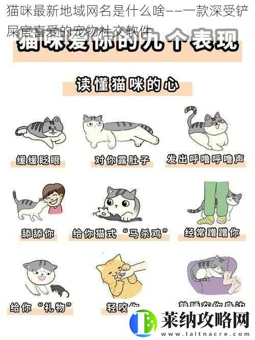 猫咪最新地域名是什么啥——一款深受铲屎官喜爱的宠物社交软件