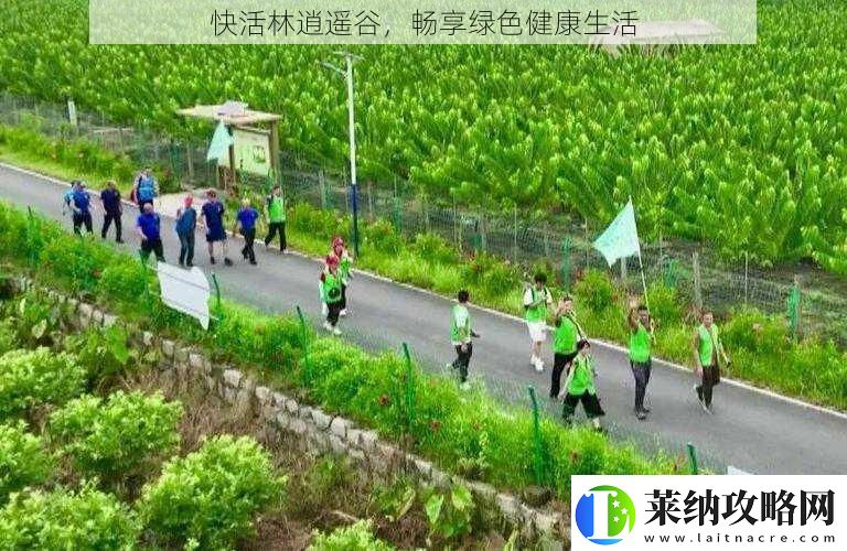 快活林逍遥谷