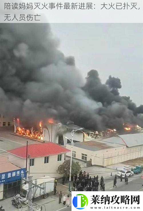 陪读妈妈灭火事件最新进展