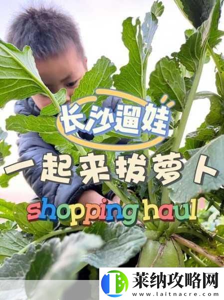 拔萝卜又叫黄9.1