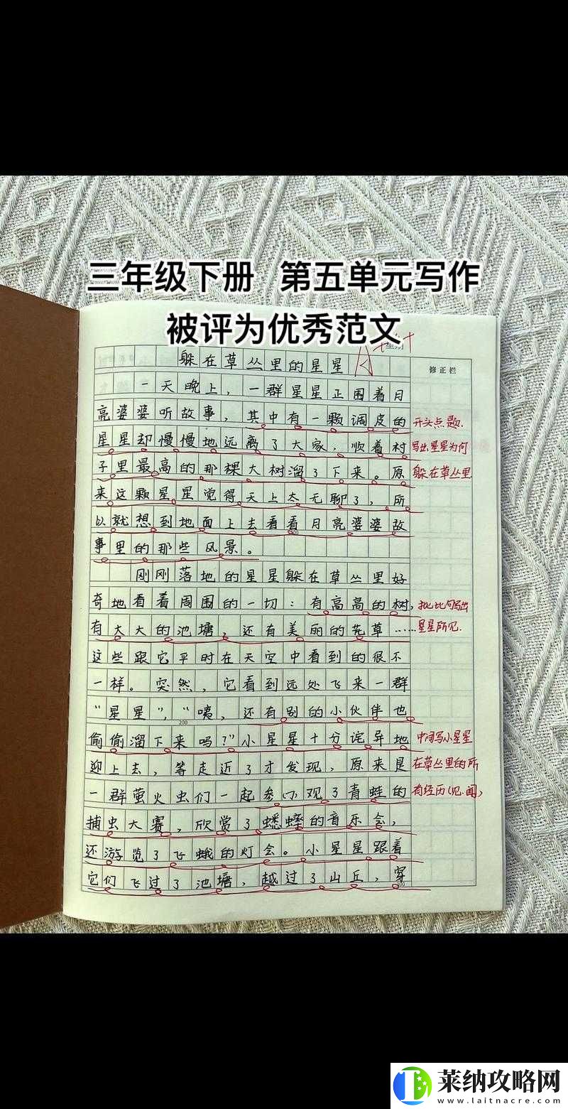 炖肉计