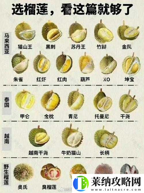 榴莲黄版无限刷