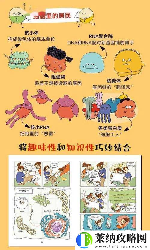 奶牛**的奇妙故事