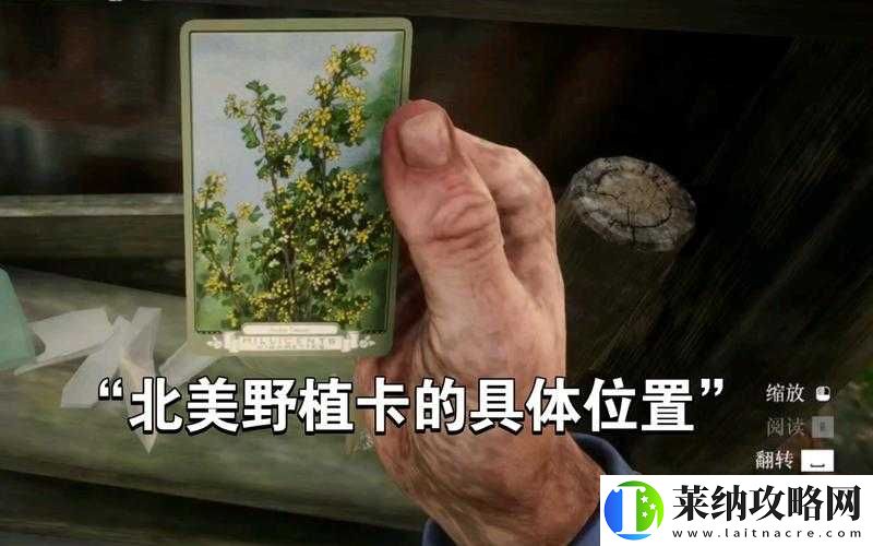 荒野大镖客2