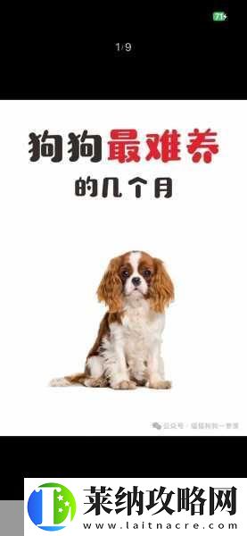 成色好的y31的影视短片