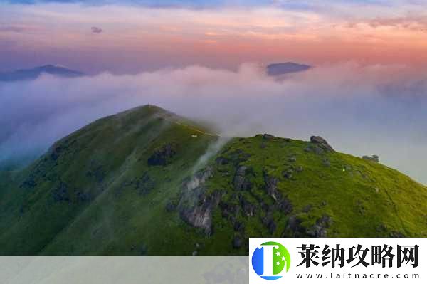 成色好的y31的影视短片