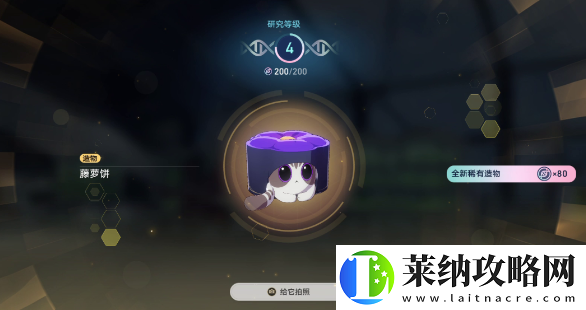 崩坏星穹铁道1.6异宠拾遗团聚任务怎么做