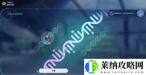 崩坏星穹铁道1.6异宠拾遗团聚任务怎么做