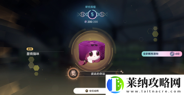 崩坏星穹铁道1.6异宠拾遗团聚任务怎么做