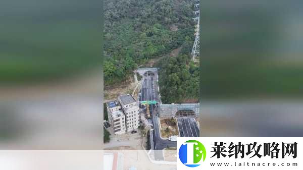 51大豆行情仙林踪2023功能