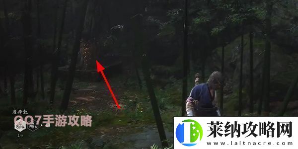 黑神话悟空三冬虫和落伽香藤获取图文位置一览