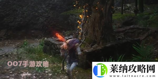 黑神话悟空三冬虫和落伽香藤获取图文位置一览