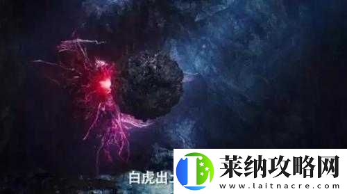 刺激的白虎**探索之旅