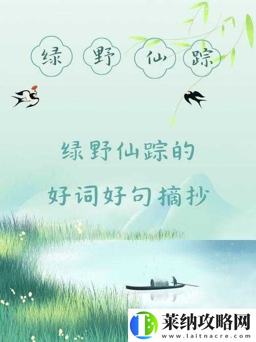 南瓜先生大冒险迷雾森林的秘密探险攻略