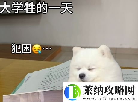 大学牲是什么梗络用语