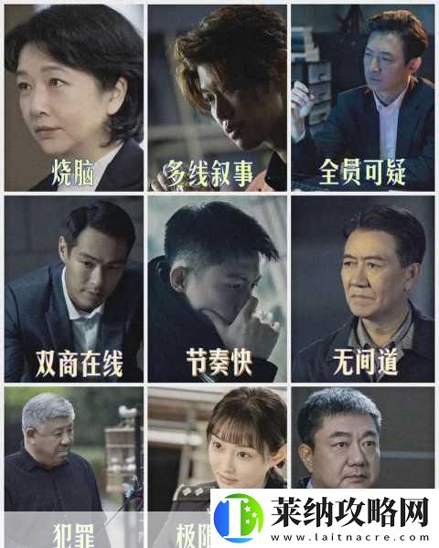 罚罪一共多少集