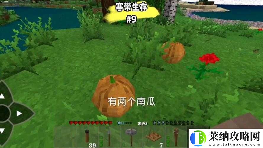 生存战争青南瓜种植方法详解