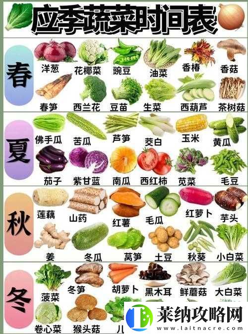 燃烧的蔬菜3星满级花椰菜攻击力分析