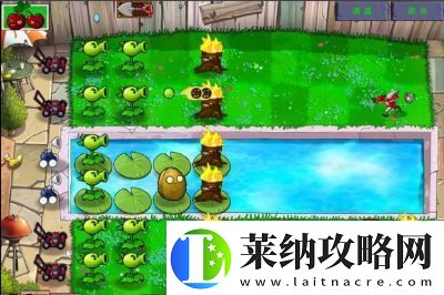 玩植物大战僵尸网页版