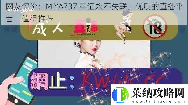 网友评价