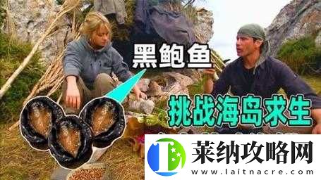 鲍鱼游戏