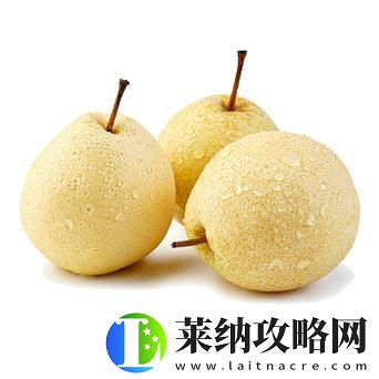 织梦森林果园种植雪梨方法介绍