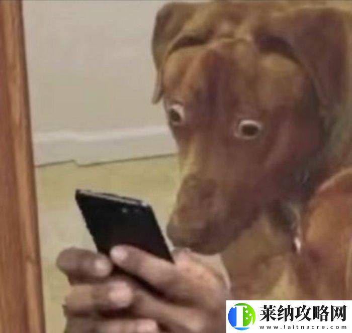 千万粉网红直播“虐狗”