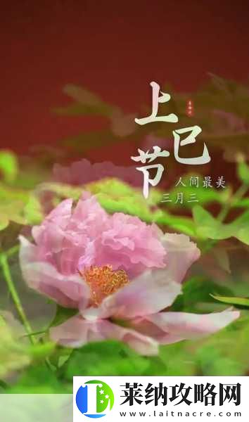 新爱相随情人节遗憾错过
