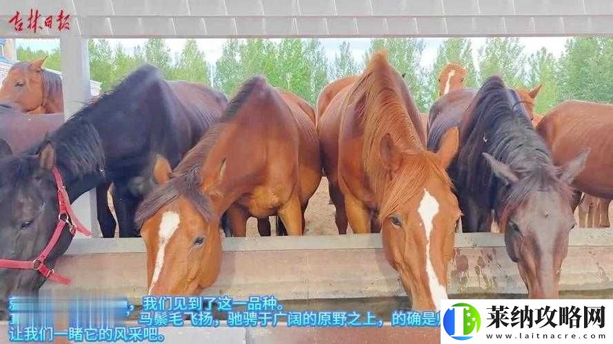 公司业务