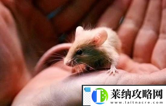 游你扯淡