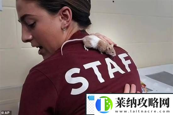 游你扯淡