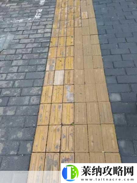 我国的盲道表面通常是什么形状和凸起