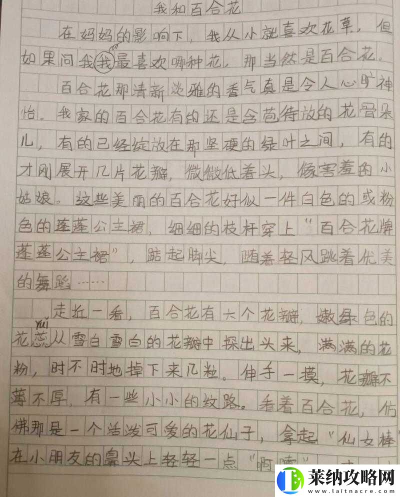 火山的女儿