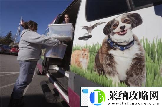 游你扯淡