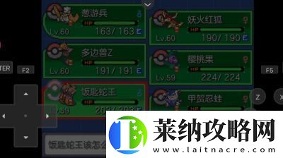 口袋妖怪新手必看攻略